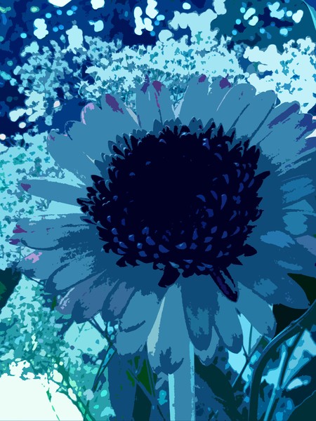 Blue Gerbera (One)