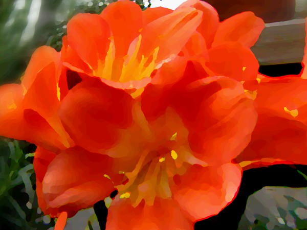 Bright Colors (Three)