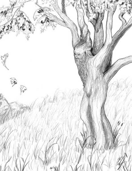 Old Blue Oak