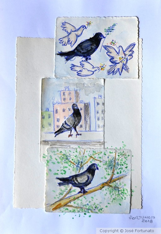 Pigeonzinhos de la Katryna