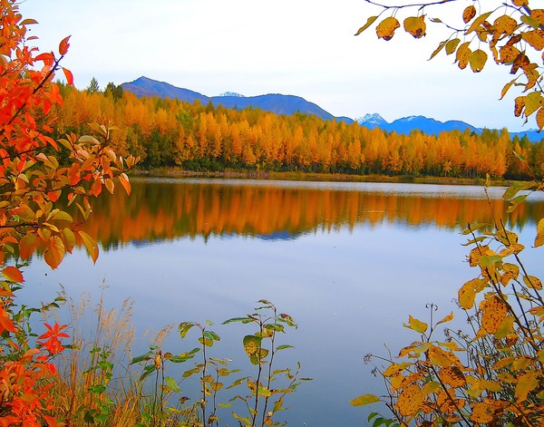 Autumn Reflections II