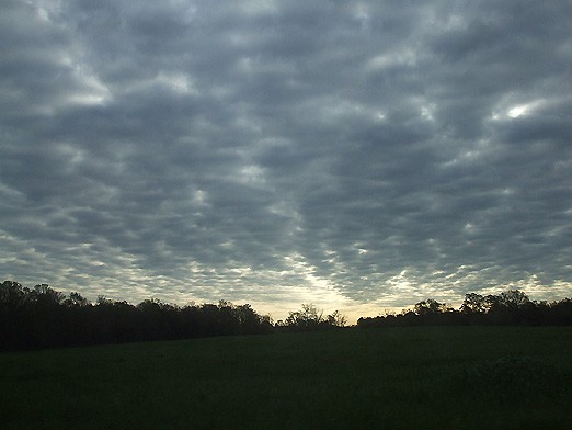 EYE LUV SKY 5