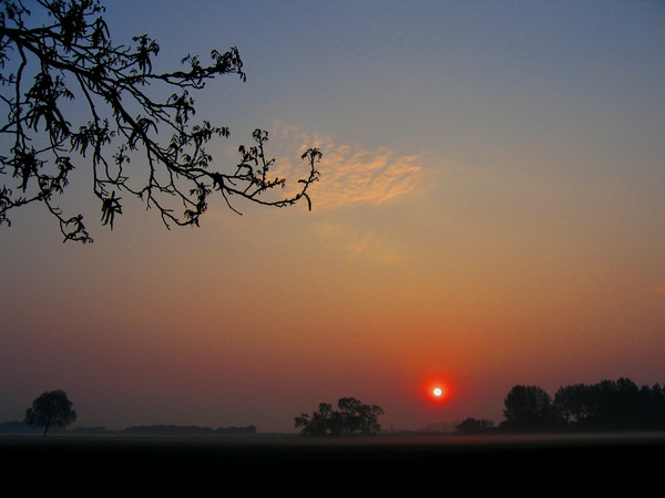 view from my kitchen (3)