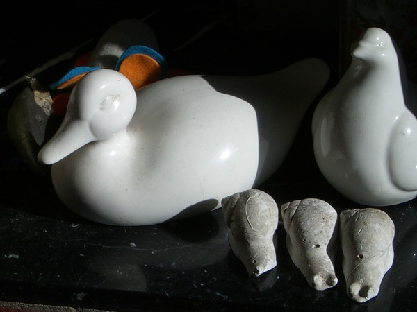 Duck, pigeon, snails...