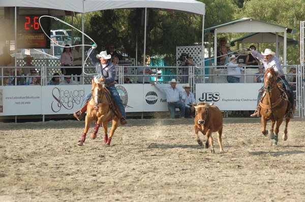 Team Roping 55