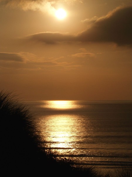 Late Sunshine
