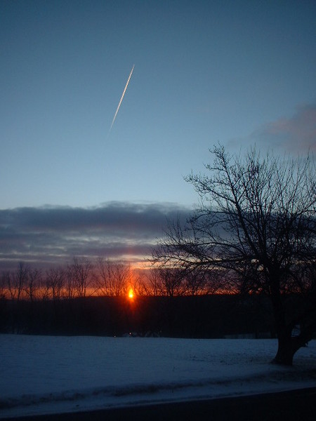 Morning Torch