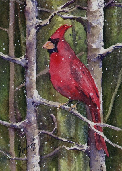 Cardinal