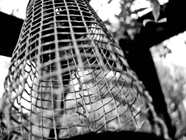 Caged Air