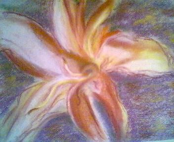 Lily