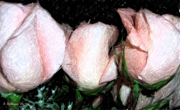 Lover's Caress