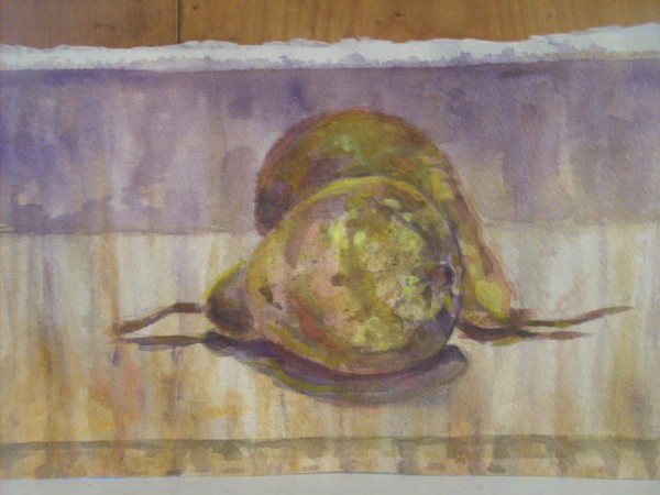 stillife
