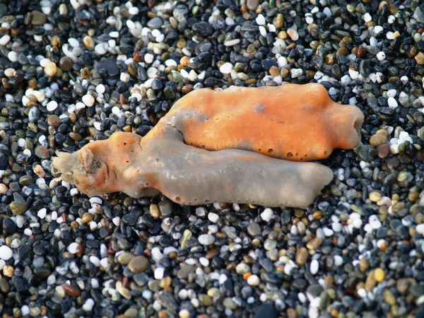 Beach Art IV