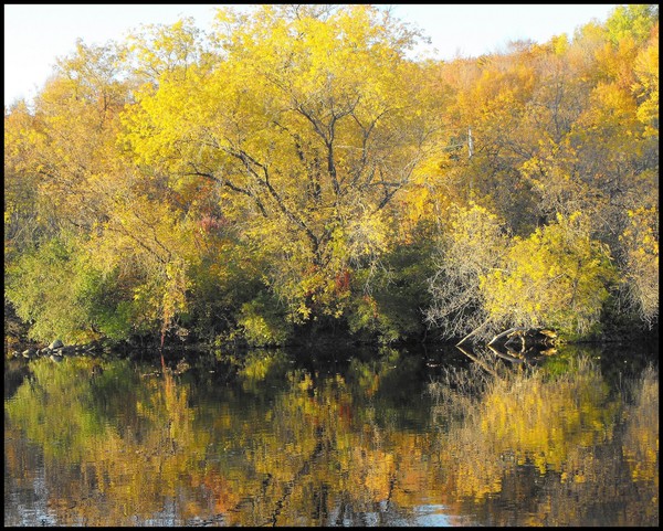 Yellow Reflection