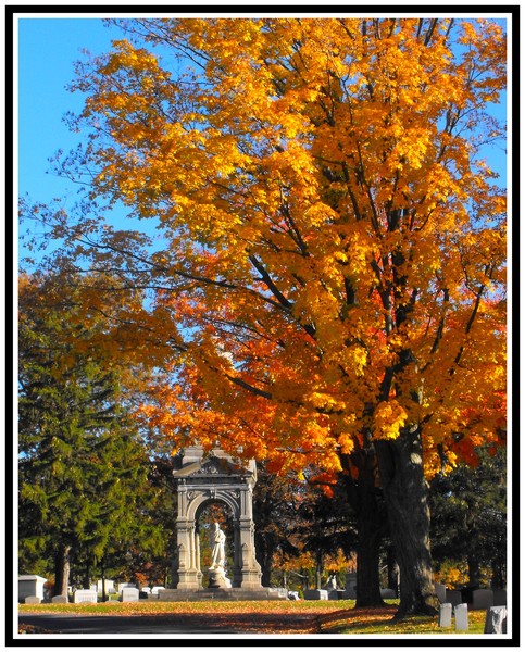 New Forest Cemetery, Autumn 2008