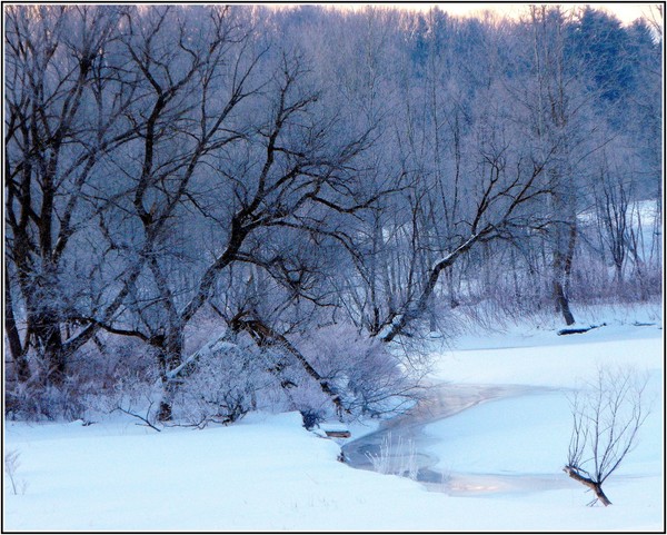 Cool Morningn Frost