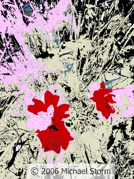 The Pink