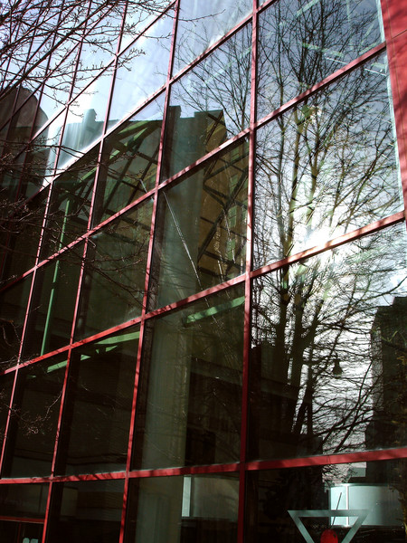 Reflection