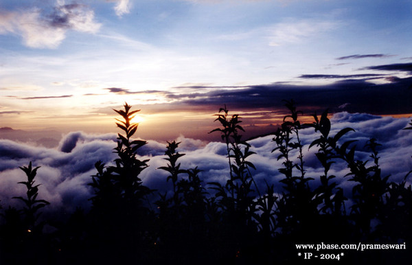 Peeking the Sunrise