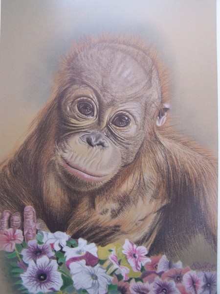 Joly from Monkey World