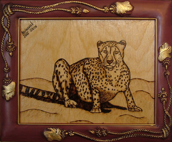 Cheetah (2)