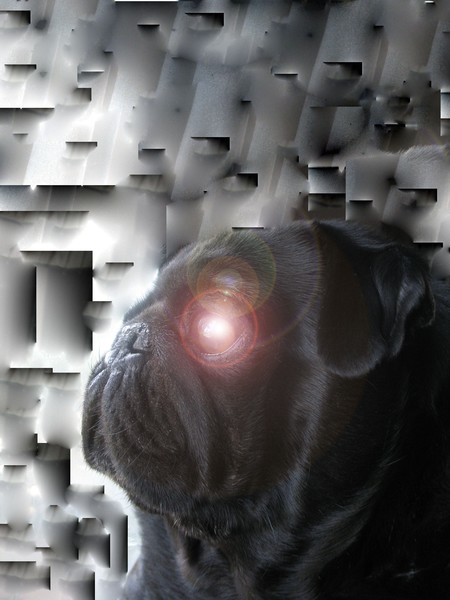 Cybernetic dog