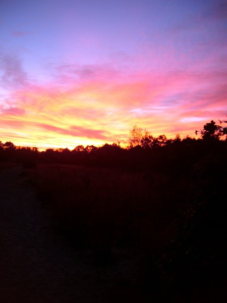 Sunrise