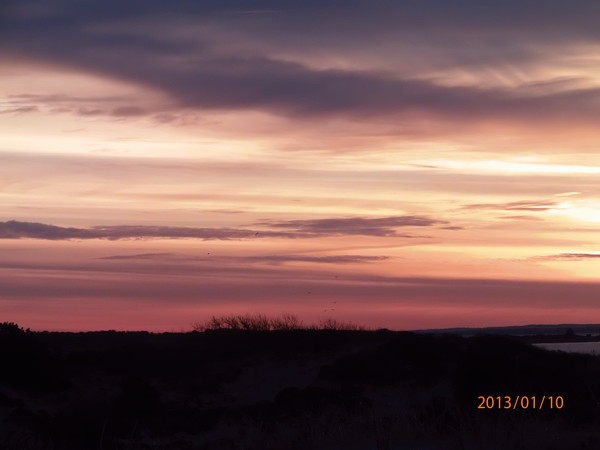OlympusJan2013 056