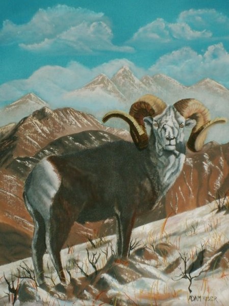 Ram