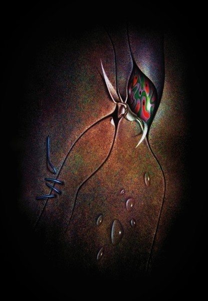 NIGHT VISITOR