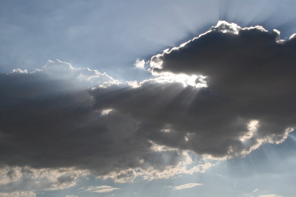 Catch The Rays