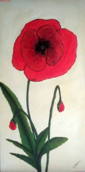 Poppy