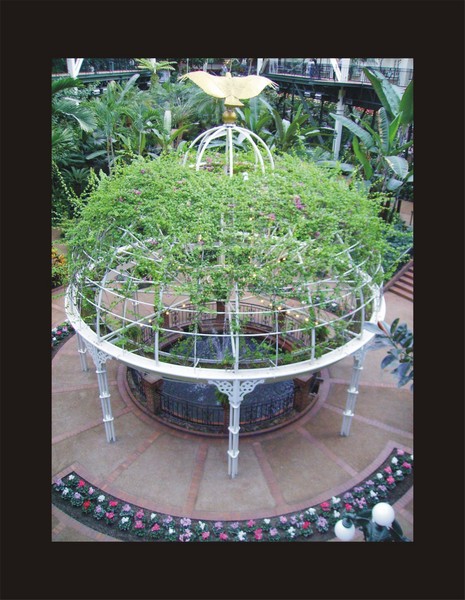 Eagle Dome