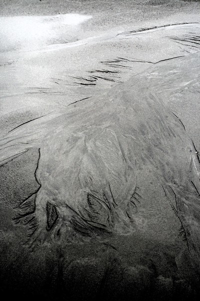 On the Beach I