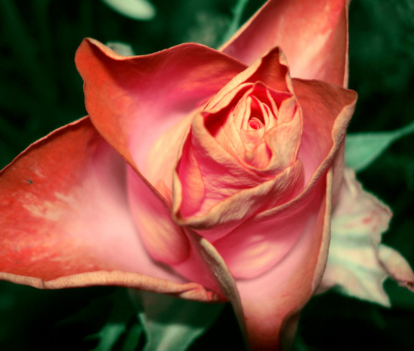 Beautiful Imperfection