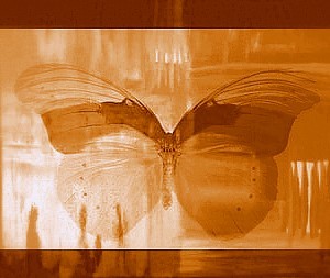  Butterfly Mirage 