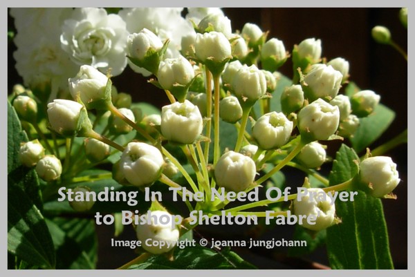 Standing In The Need Of Prayer
