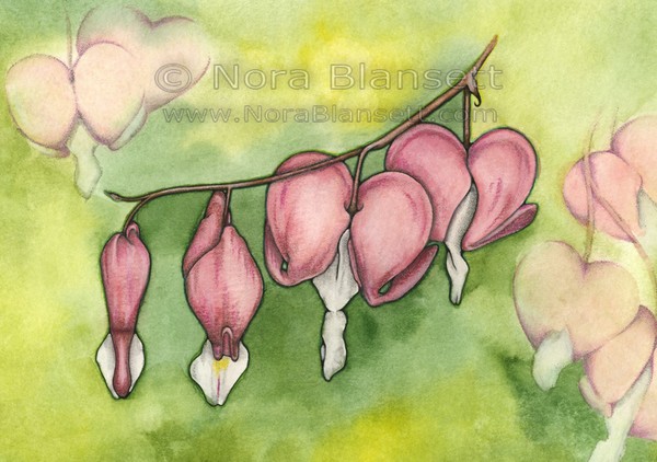 Bleeding Hearts