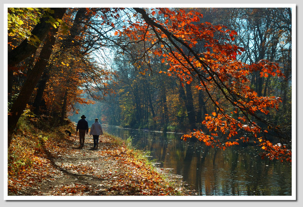 Autumn Morning Stroll Along the Canal