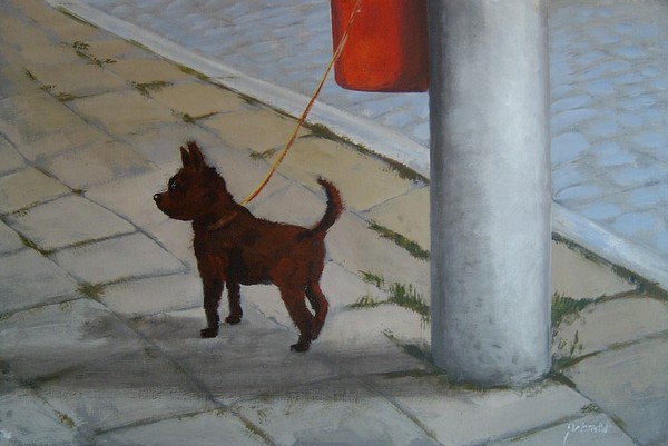 The Streetdog