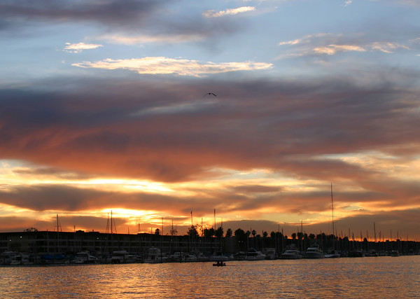 Marina Sunset