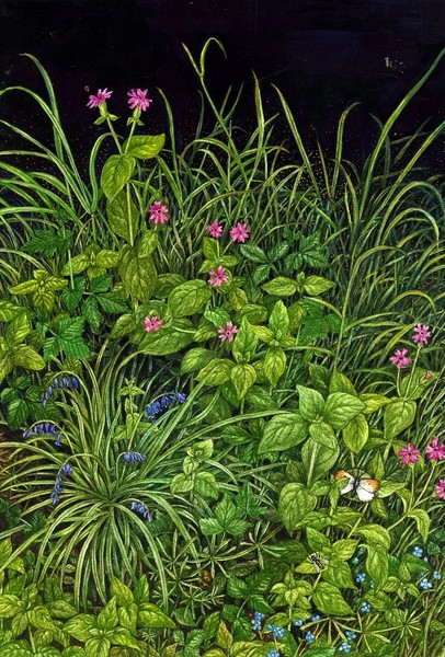 Undergrowth