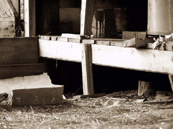 Forgotten