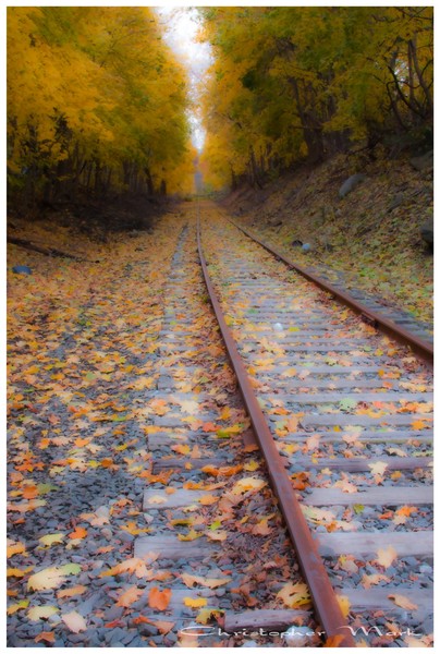 down the tracks