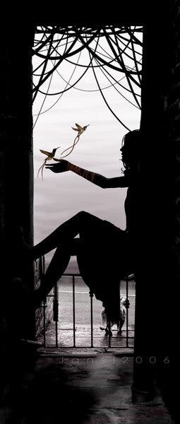 .My.Hummingbird.