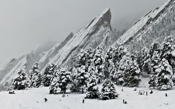 Winter Wonderland