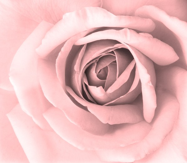 Soft