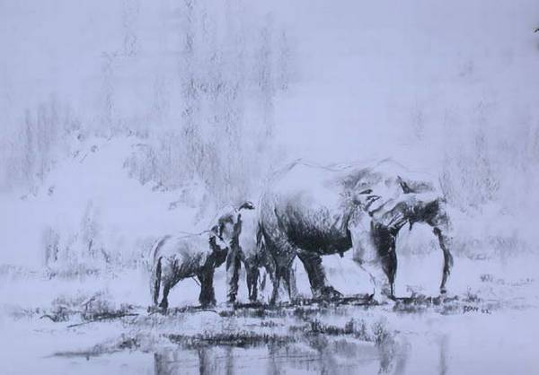 Three elephants