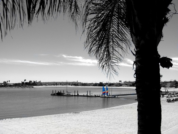Sailboats