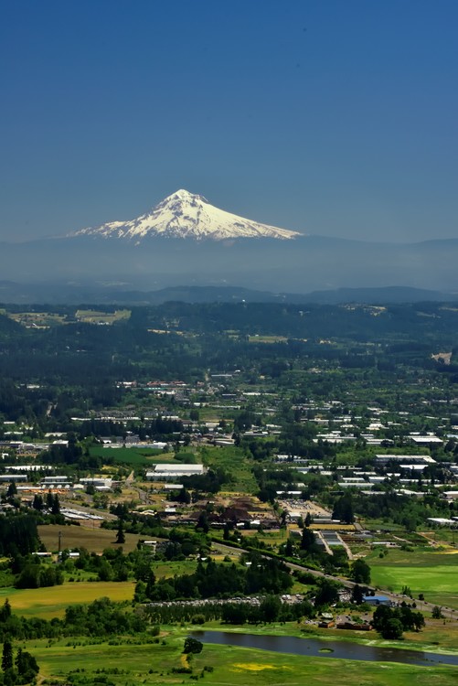 Mt. Hood